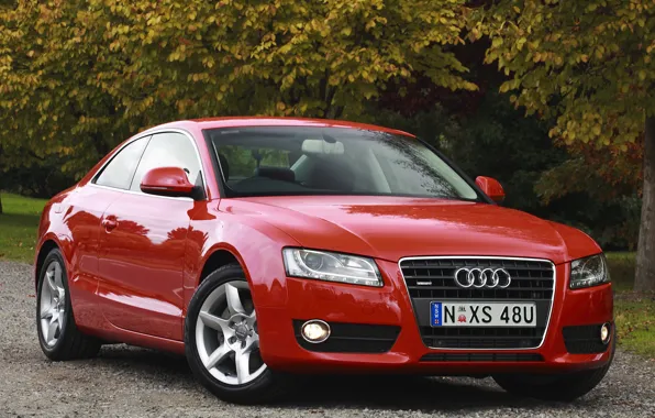 Audi, coupe, 2.0