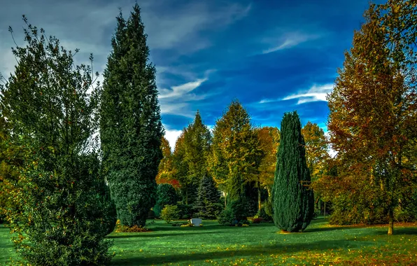 Осень, трава, листья, деревья, парк, обработка, Германия, Attendorn