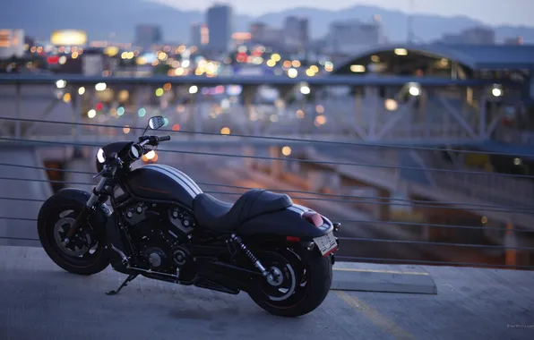Картинка мост, город, мотоцикл, Harley-Davidson