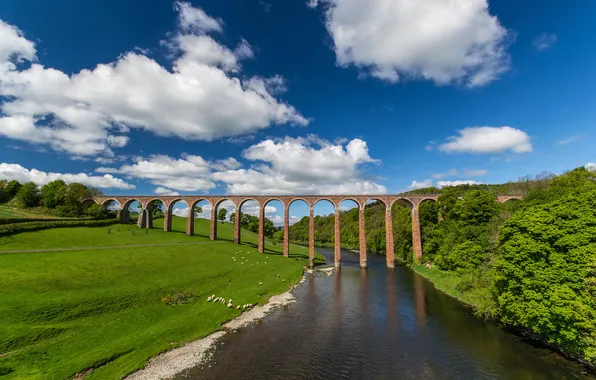 Картинка мост, Шотландия, луг, виадук, Scotland, River Tweed, река Твид, Leaderfoot Viaduct