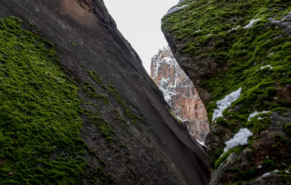 Картинка горы, камни, скалы, мох