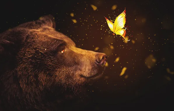 Abstract, wallpaper, bear, butterfly, dreams, abstract animals, abstract background, wallpaper HD
