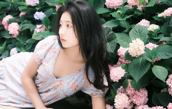 Beautiful, Asian, Model, Flowers, Woman, Cute, Lying Down, Laying
