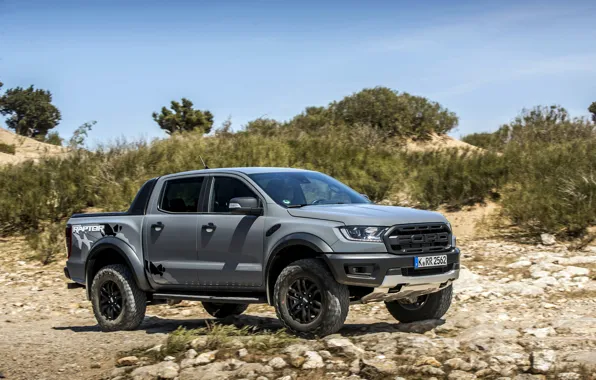 Картинка небо, камни, серый, Ford, Raptor, пикап, кустарник, Ranger