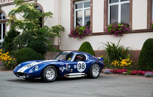 Картинка shelby, blue, cobra, daytona