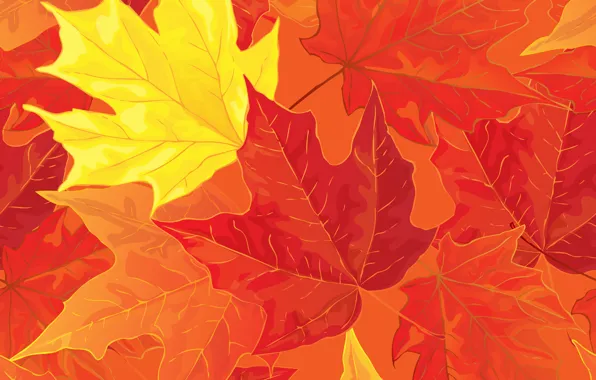 Листья, фон, autumn, leaves, осенние, fall, maple