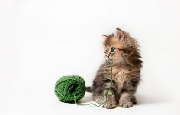 Почему кошке опасны мишура, нитки и тесемки?