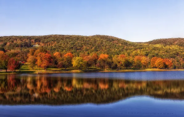 Картинка landscape, nature, water, tree