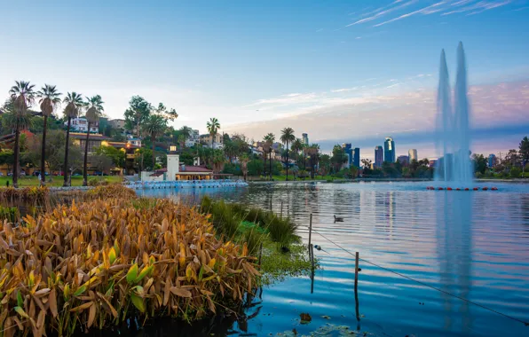 Фонтан, США, Лос-Анджелес, Echo Park Lake