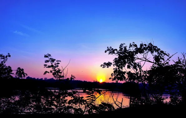 Sun, Water, Sunrise, Dawn, Morning, Lake, Trees, Reflection
