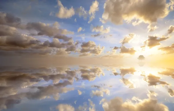 Картинка небо, солнце, облака, закат, дерево, горизонт