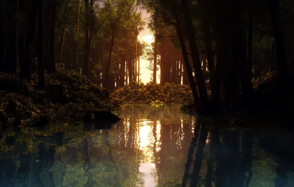 Картинка вода, солнце, деревья, закат, река