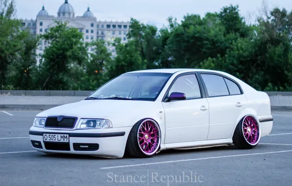 White, wheels, tuning, low, шкода, stance, skoda, Octavia