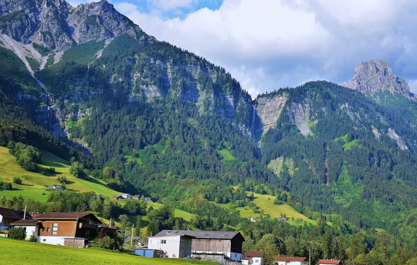 Картинка зелень, лес, небо, трава, солнце, облака, деревья, горы