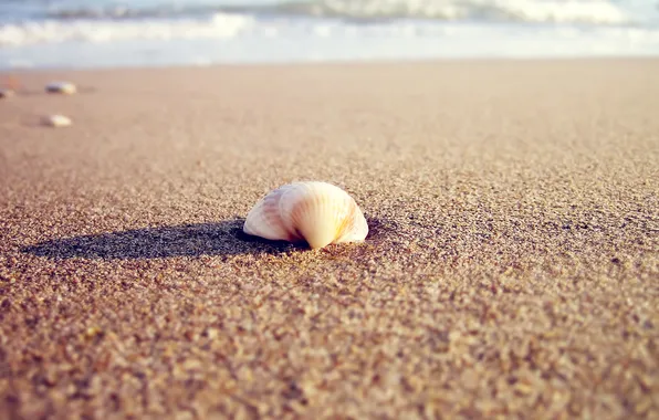 Картинка песок, море, пляж, вода, солнце, макро, свет, природа