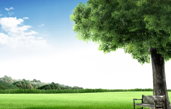 Картинка зелень, небо, природа, город, пространство, дерево, воздух, широкоформатные обои