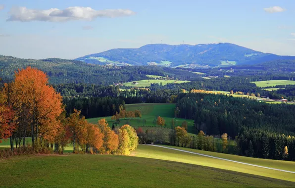 Картинка осень, деревья, холмы