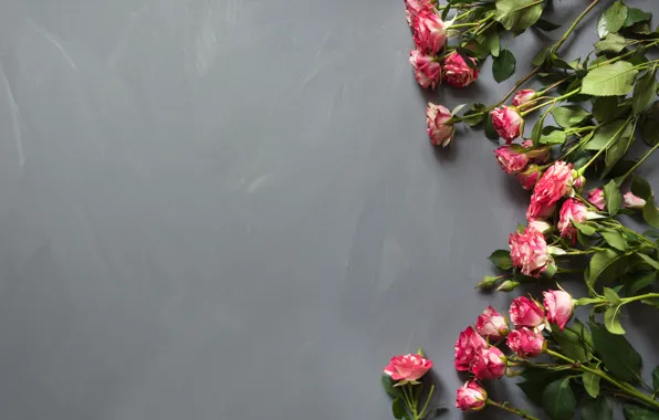 Цветы, розы, roses, bouguet, Lazhko Svetlana