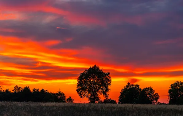 Summer, landscape, sunset, three