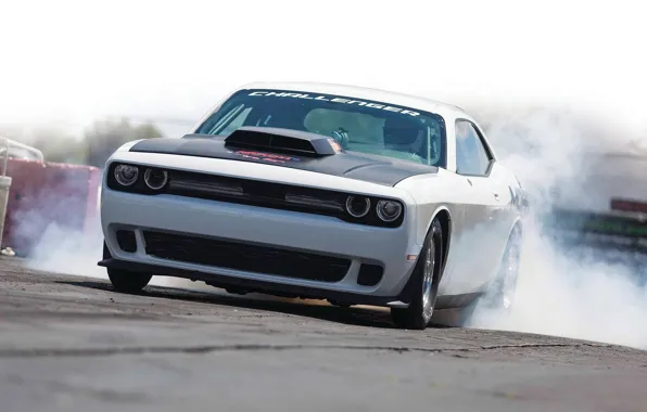 Картинка Dodge, Challenger, Mopar, 2015, Drag Pak