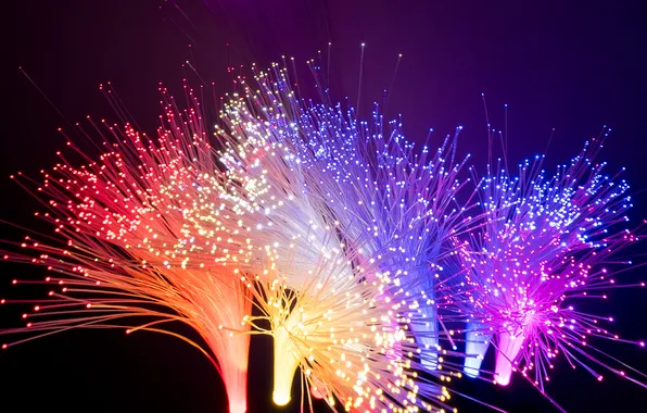 Картинка fiber, digital, data, connectivity, electronics, fibre, future, fiber-optics