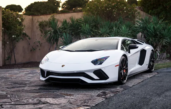 Lamborghini, White, Aventador