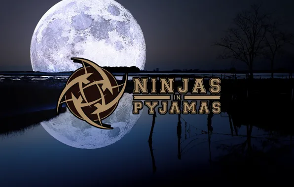 CSGO, nip, NiP, Counter-Strike: Global Offensive, Ninjas in Pyjamas, Proffesional team