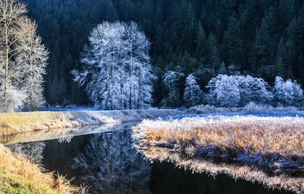 Зима, иней, деревья, река