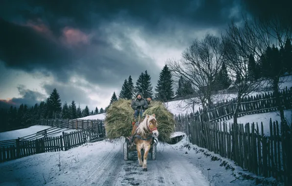 Зима, лошадь, деревня, сено, воз