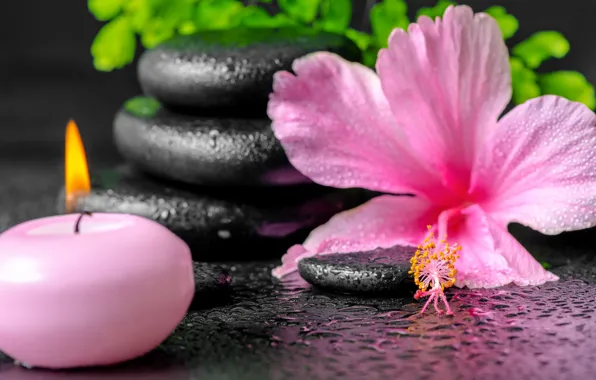 Flowers, Spa, background, спа, candles, spa stones