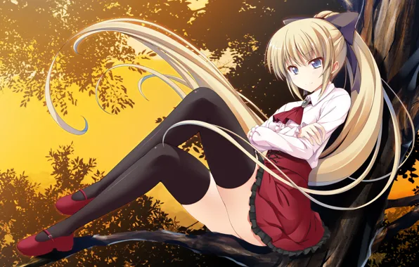 Девушка, дерево, ветка, форма, сидя, game cg, atled everlasting song, hayakawa rinta
