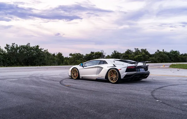 Car, Lamborghini, supercar