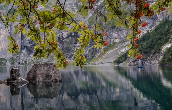 Картинка осень, ветки, озеро, камни, лодка, Швейцария, рыбаки, Switzerland