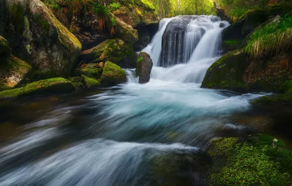 Картинка природа, камни, водопад, мох