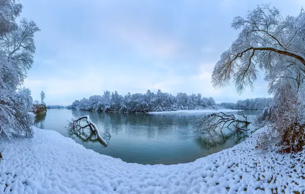 Зима, снег, деревья, река, Россия, Ставропольский край, Река Терек