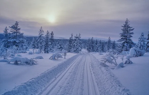 Картинка зима, дорога, снег, ели, дервья, Финляндия, Finland, Саариселькя
