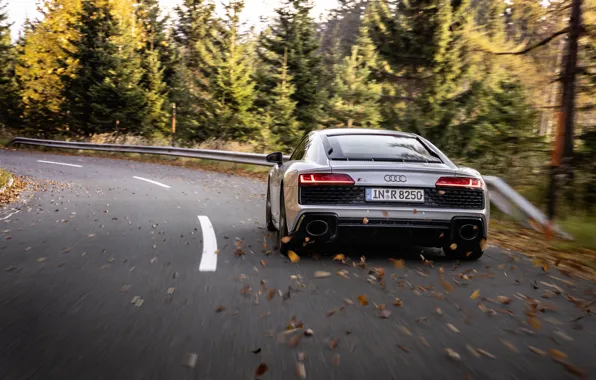 Осень, Audi, скорость, суперкар, Audi R8, вид сзади, Coupe, V10