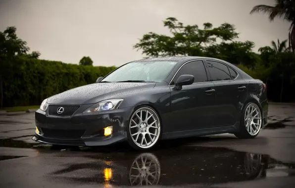 Картинка авто, отражение, дождь, мокрая, лужа, лексус, Lexus IS