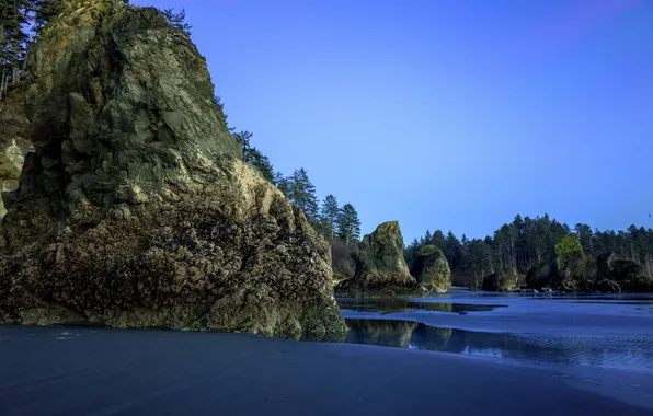 Картинка песок, пляж, деревья, камни, скалы, вечер, Вашингтон, США