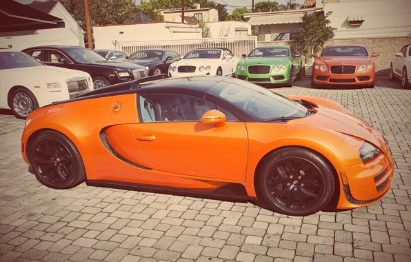 Картинка Veyron, Vitesse, Grand, Orange, Bugatti, Sport