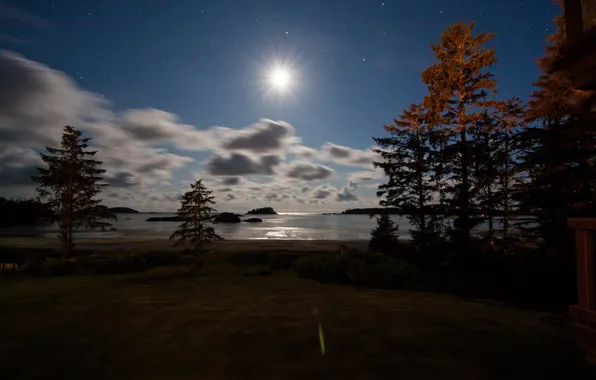 Картинка острова, деревья, ночь, озеро, луна, сосны, небо. звезды