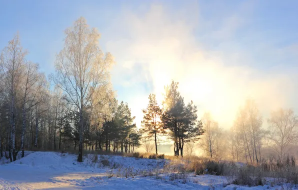 Картинка зима, снег, деревья, утро