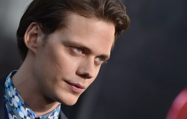 Взгляд, парень, актёр, Bill Skarsgard