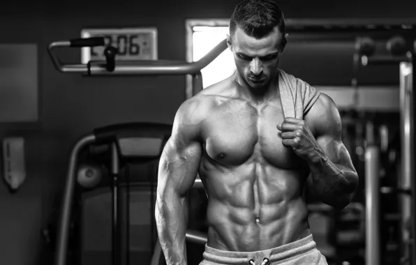 Сила, тело, торс, man, пресс, body, обнаженный, bodybuilding