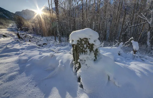 Картинка зима, небо, солнце, снег, деревья, горы, пень, день