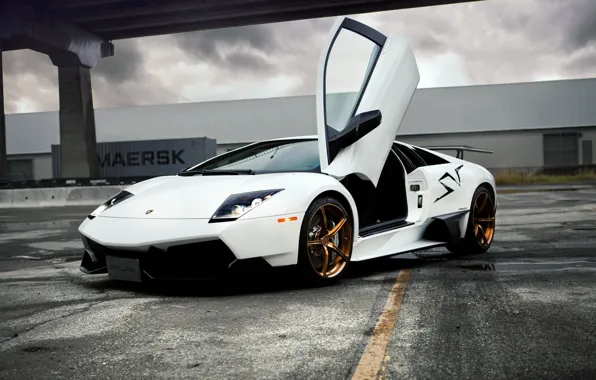 Lamborghini, белая, murcielago