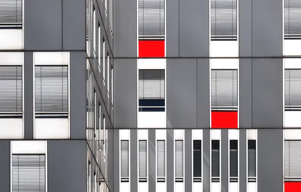 Фон, цвет, форма