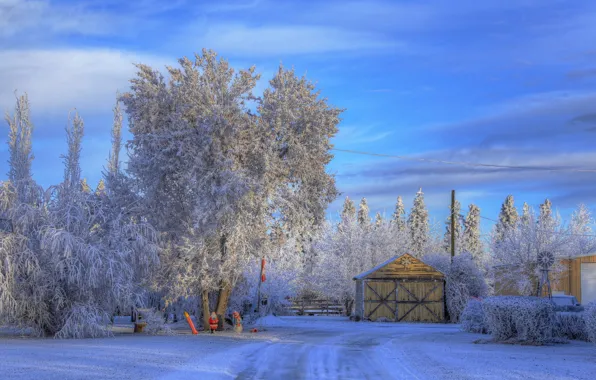 Картинка зима, иней, снег, деревья, дома