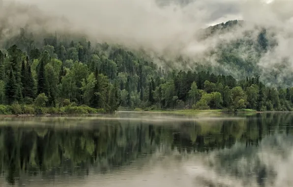 Горы, отражения в воде, дождь, reflections in water, trees, rain, sky, лес