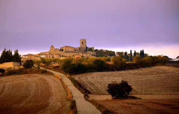 Twilight, tower, sunset, dusk, Spain, Cataluña, farmland, Segarra